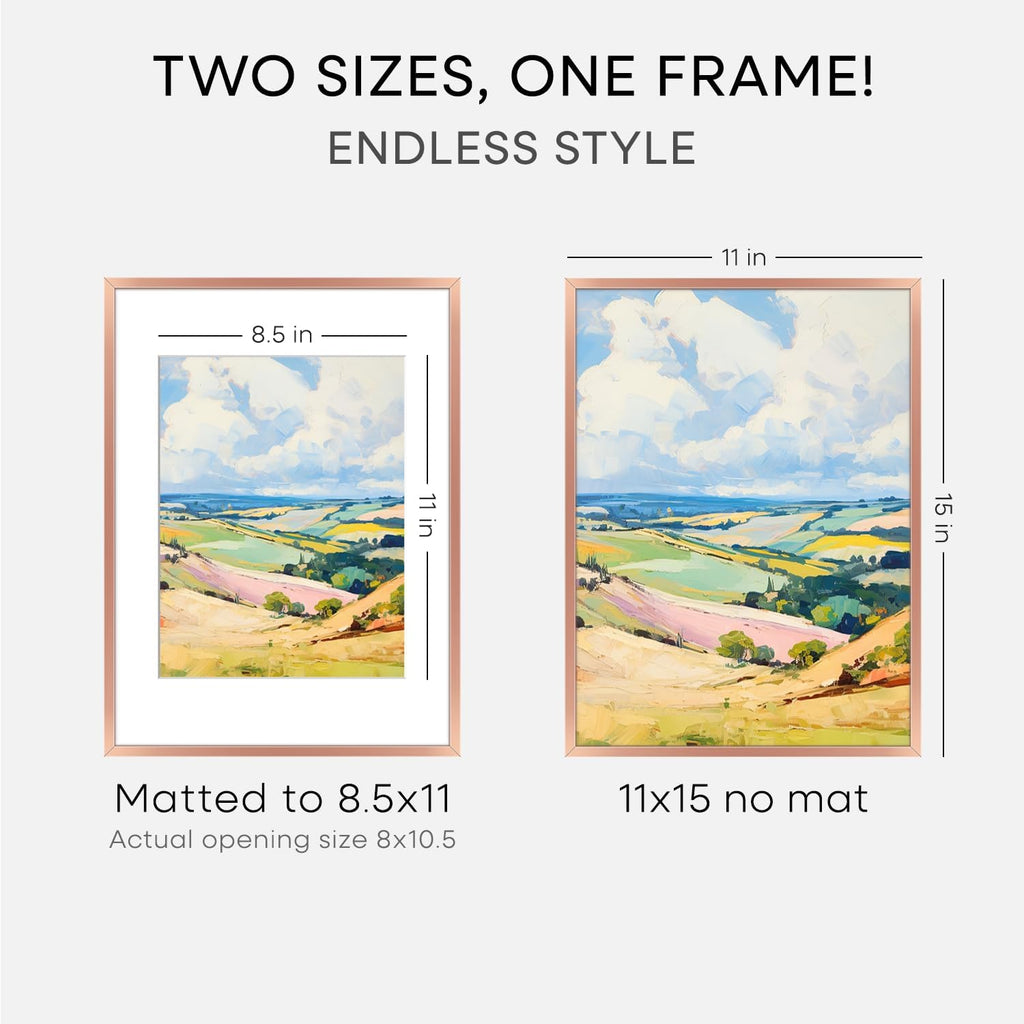 Homeforia 11x15 Picture Frame Rose Gold, High End Metal 11x15 Wall Hanging Frame with Mat 8.5x11, 11 x 15 Poster Frames Matted to 8.5 x 11 inch Photo, 11by15 Frames, Tempered Glass, Wall Kit, Set of 1