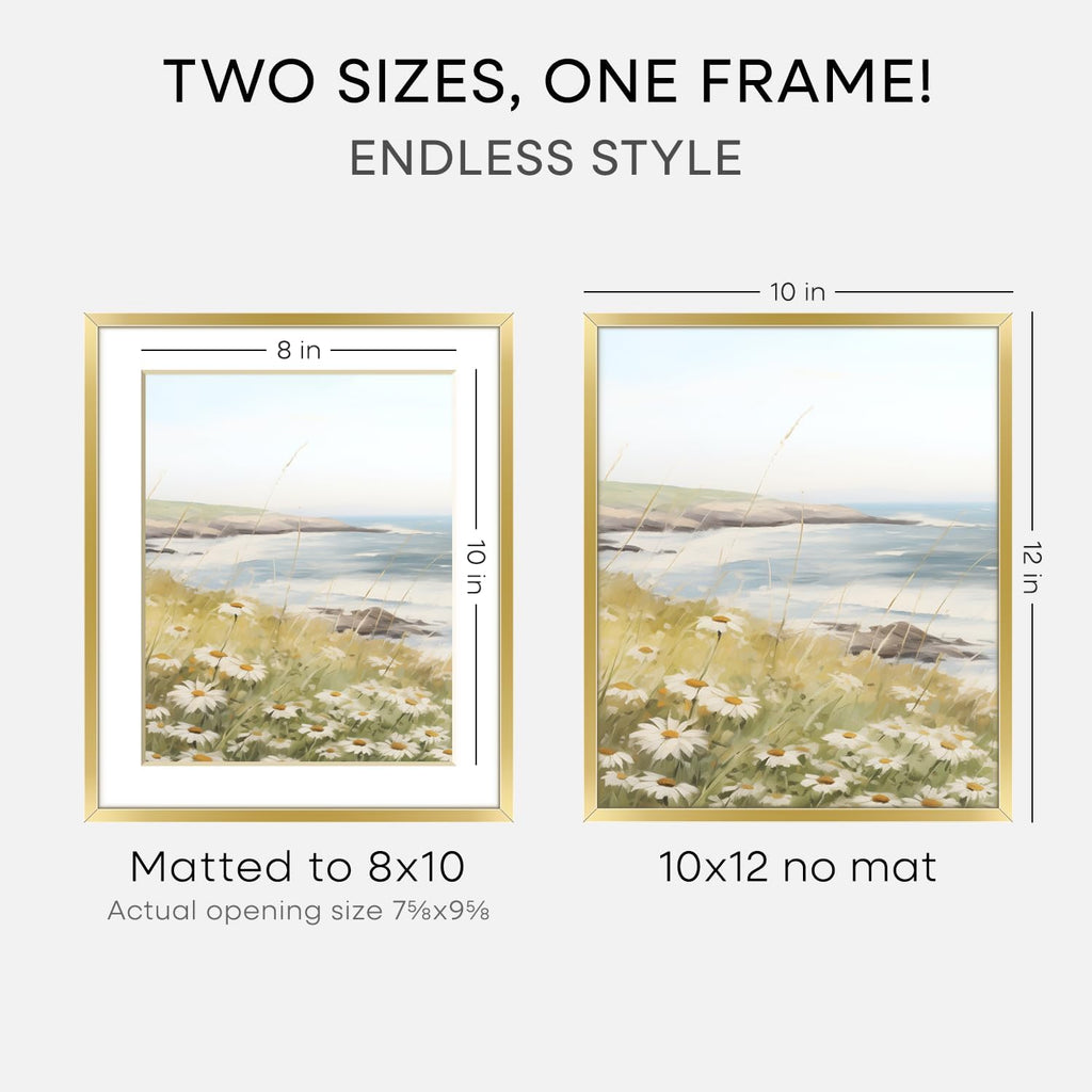 Homeforia 10x12 Picture Frame Gold, High End Metal 10x12 Poster Frames with Mat for 8x10, 10 x 12 Gold Frame Matted to 8 x 10 inch Photo, 10by12 Thin Hanging Frames, Tempered Glass, Wall Kit, Set of 1