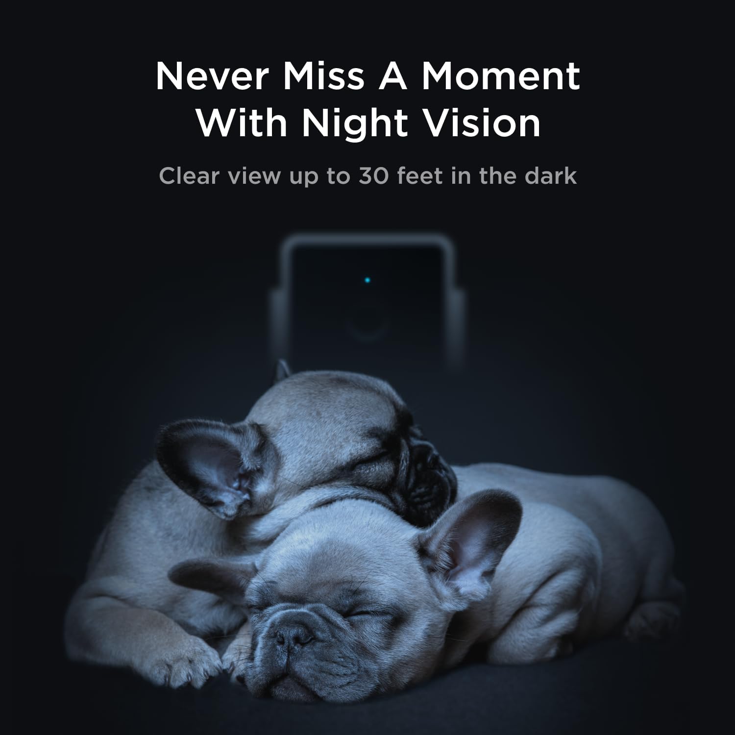 Petcube Cam The Pack of 2 | Indoor Wi-Fi Pet Security Camera with Phone App, 2-Way Audio and Video, Night Vision, 1080p HD Video and Smart Alerts