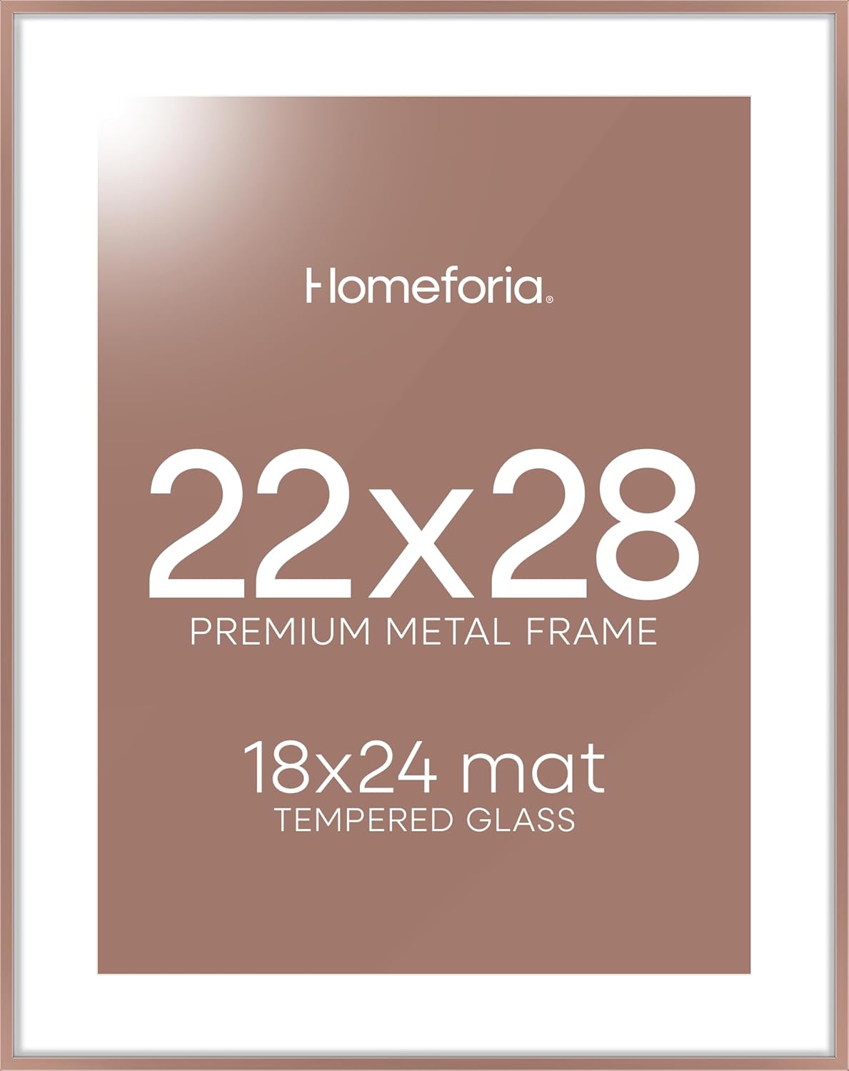 Homeforia 22x28 Poster Frame Mocha, High End Metal 22 x 28 Large Picture Frames with Mat 18 x 24 for Photo, 22x28 Thin Frame Matted to 18x24 inch Print, 28x22 Frame, Tempered Glass, Wall Kit, Set of 1