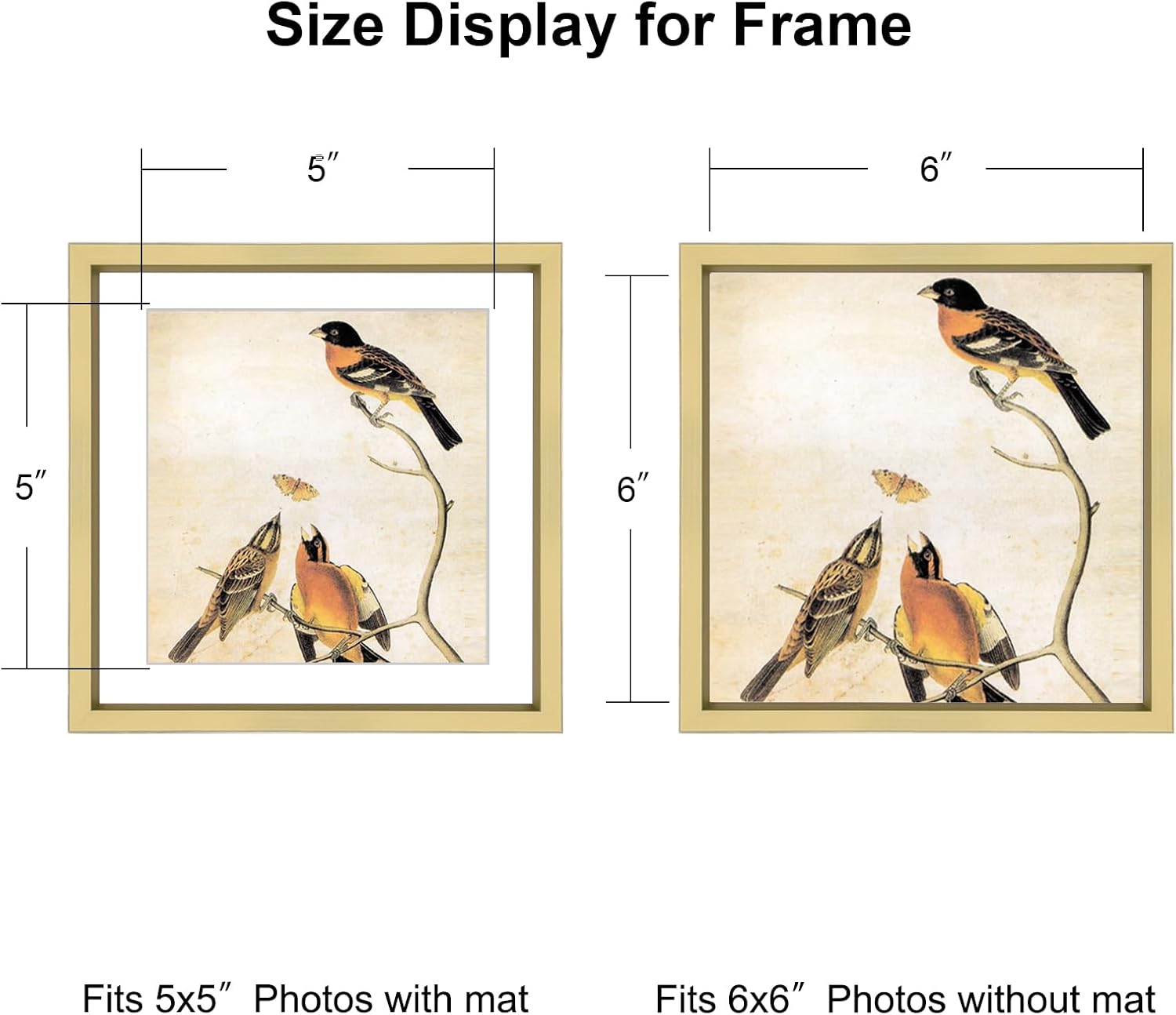 6x6 Picture Frame, Brass Metal Photo Frames with HD Glass, Fits 5x5 with Mat or 6 x 6 without Mat, Display for Wall and Table, 3 Pack