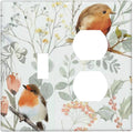 Wallplates Red Floral Berries Colorful Bird Plant 1 Toggle 1 Duplex Switch Plate Electrical Gfci Faceplate Decorative Light Switch Covers For Bed Room Living Room Decor