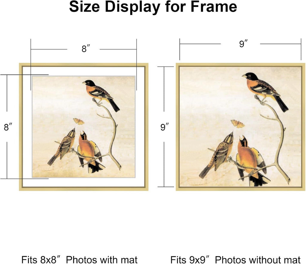 9x9 Picture Frame, Brass Metal Square Photo Frames with HD Glass, Fits 8x8 with Mat or 9 x 9 without Mat, Display for Wall and Table, 1 Pack