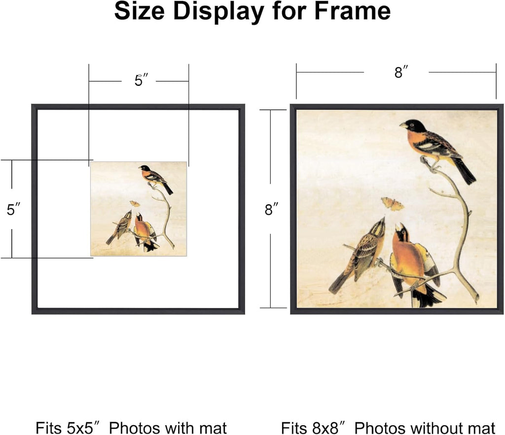 8x8 Picture Frame, Black Metal Square Photo Frames with HD Glass, Fits 5x5 with Mat or 8 x 8 without Mat, Display for Wall and Table, 1 Pack