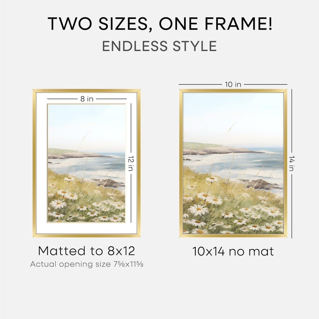 Homeforia 10x14 Picture Frame Gold, High End Metal 10x14 Poster Frames with Mat for 8x12, 10 x 14 Gold Frame Matted to 8 x 12 inch Photo, 10by14 Thin Hanging Frames, Tempered Glass, Wall Kit, Set of 1