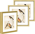 5x5 Picture Frame, Brass Metal Photo Frames with HD Glass, Fits 4x4 with Mat or 5 x 5 without Mat, Display for Wall and Table, 3 Pack