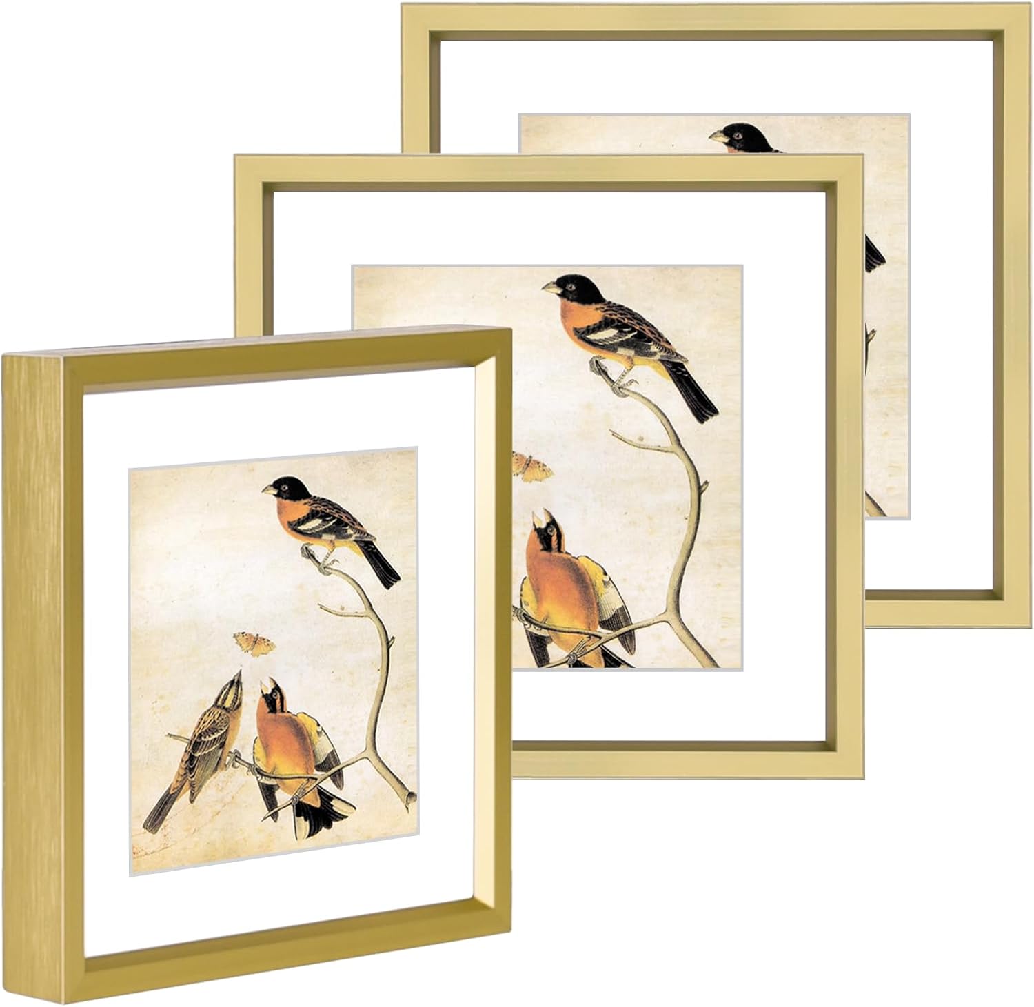5x5 Picture Frame, Brass Metal Photo Frames with HD Glass, Fits 4x4 with Mat or 5 x 5 without Mat, Display for Wall and Table, 3 Pack