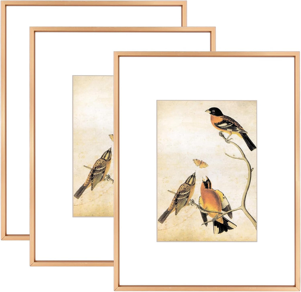 8.5x11 Picture Frame Set of 3, Gold Metal Photo Frames with HD Glass, Fits 5x7 with Mat or 8.5x11 without Mat, Wall Hanging and Table Display