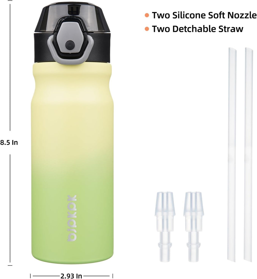 BJPKPK Insulated Water Bottle 18oz Stainless Steel Water Bottles with Straw and Carry Handle Double Wall Metal Thermal Flask,Lime