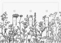 Decorative Switch Plates Floral Wildflower Rustic Plant Leaves 3 Gang Wall Plate Triple Toggle Light Switch Cover Faceplate Electrical Wall Panels For Farmhouse Cabin Decor