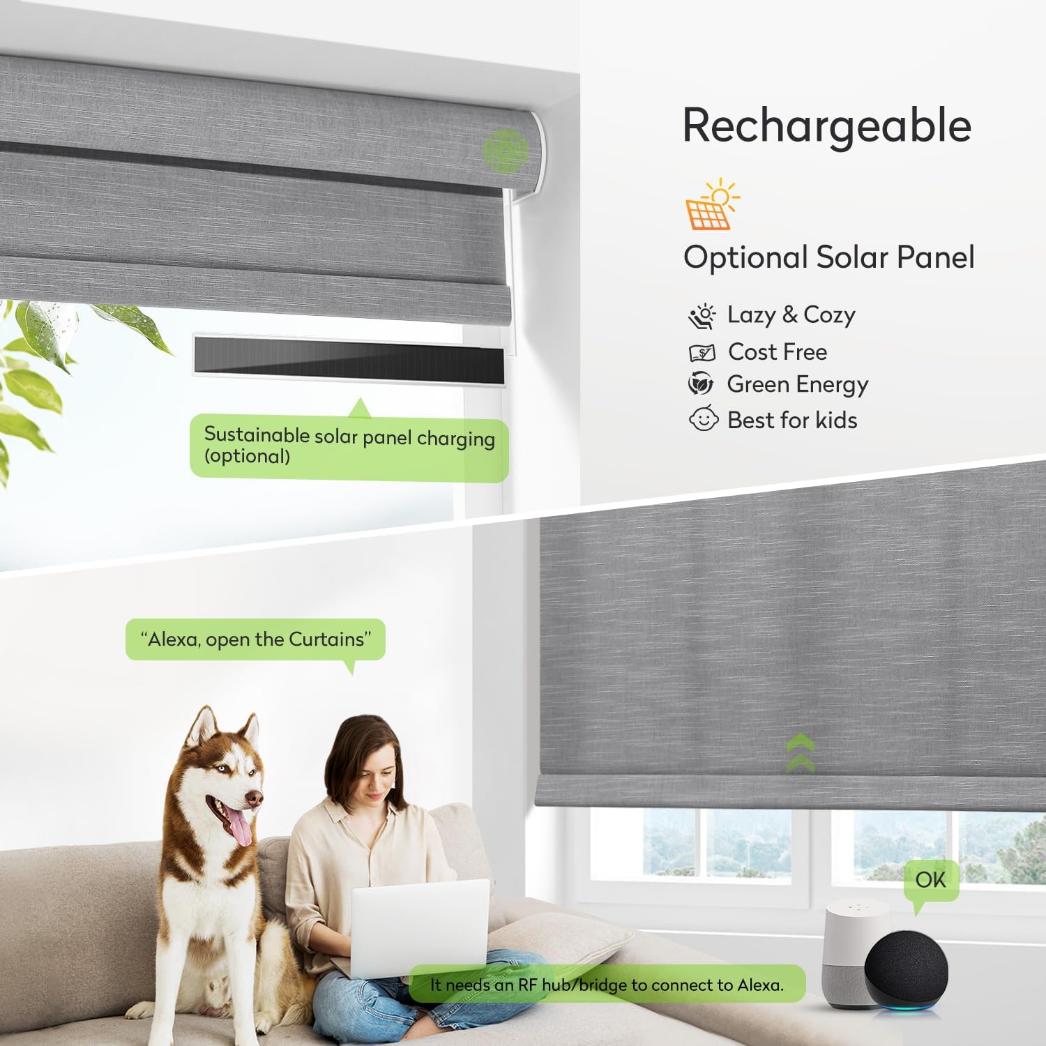 ZSTARR Motorized Light Filtering Roller Blinds with Remote Control,Rechargeable Smart Window Shades Compatible with Alexa Google via Hub,Fabric Wrapped Valance, Custom Size (Light Gray)