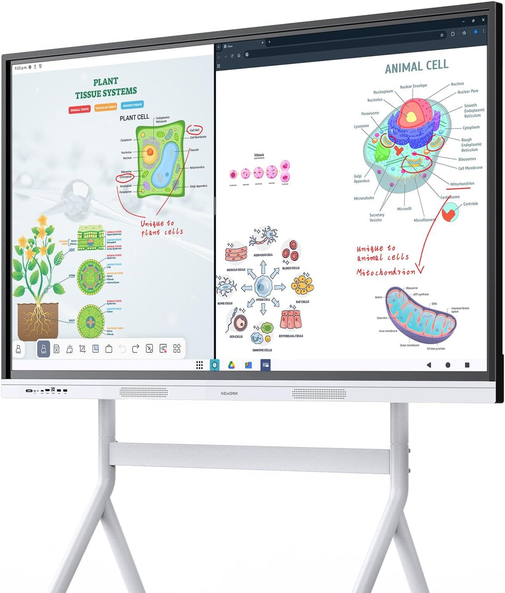55 Inch Interactive Whiteboard with Mobile Cart, Smart Board for Classroom, Digital Whiteboard with Google EDLA-Certified(Wall Mount Included)