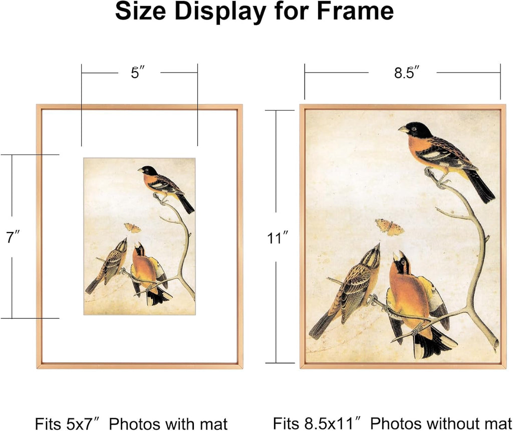 8.5x11 Picture Frame, Gold Metal Photo Frames with HD Glass, Fits 5x7 with Mat or 8.5 x 11 without Mat, Display for Wall and Table, 1 Pack