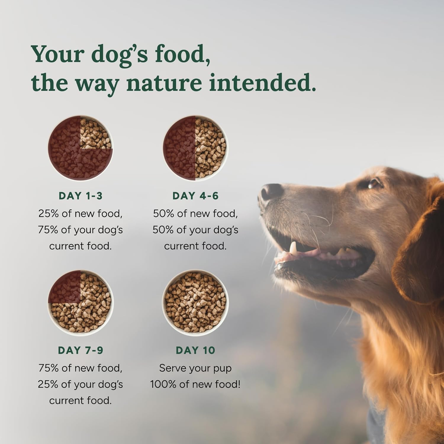360 Pet Nutrition Freeze-Dried Raw Dog Food – Chicken Recipe with Liver & Organs, High Protein, Omega-3s, Fruits, Veggies & Superfoods, Grain-Free, No Fillers, 1 lb – Made in USA