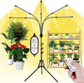 5-Head Adjustable LED Lights, Full Spectrum Grow Lamp with Timer, Warm White Light for Indoor Plants
