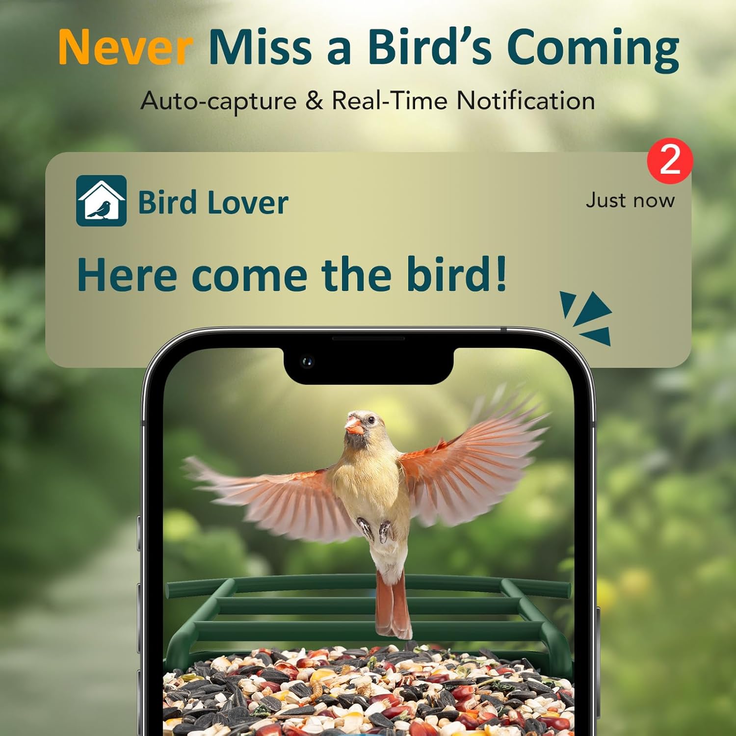 BIRDLEGEND® BL01 Bird Feeder with Camera Solar Powered, Free AI Smart Camera Bird Feeder with 64GB Card DIY Add-ons 1080P Live Auto Capture Videos Pictures, Gifts for Birdlover Mom Dad, 2.4GHz WiFi