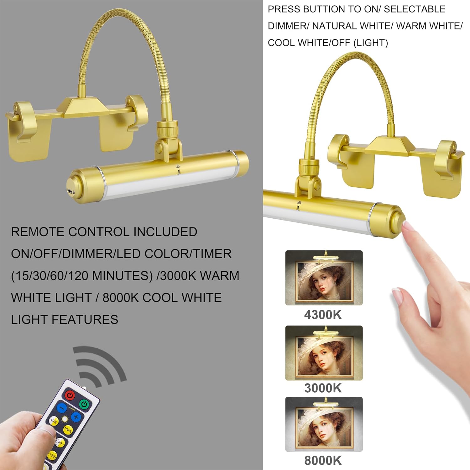HONWELL Painting Lights Cordless, Dartboard Light with Remote, Rechargeable Picture Light, Picture Frame Lights with 3 Modes 28 LEDs Rotate Head, 360° Flexible Neck,Clip on Display Light for Artwork