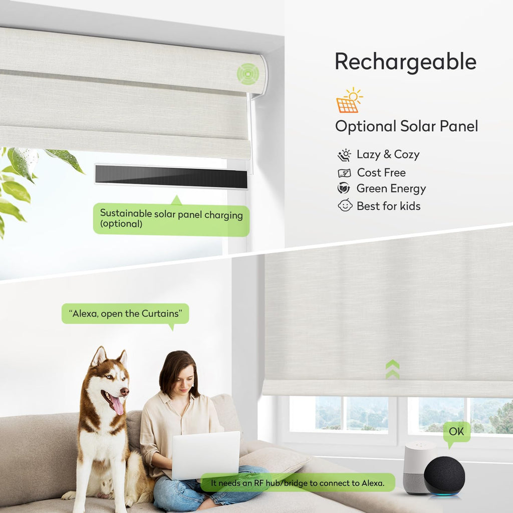 ZSTARR Motorized Light Filtering Roller Blinds with Remote Control,Rechargeable Smart Window Shades Compatible with Alexa Google via Hub,Fabric Wrapped Valance, Custom Size (Light Beige)