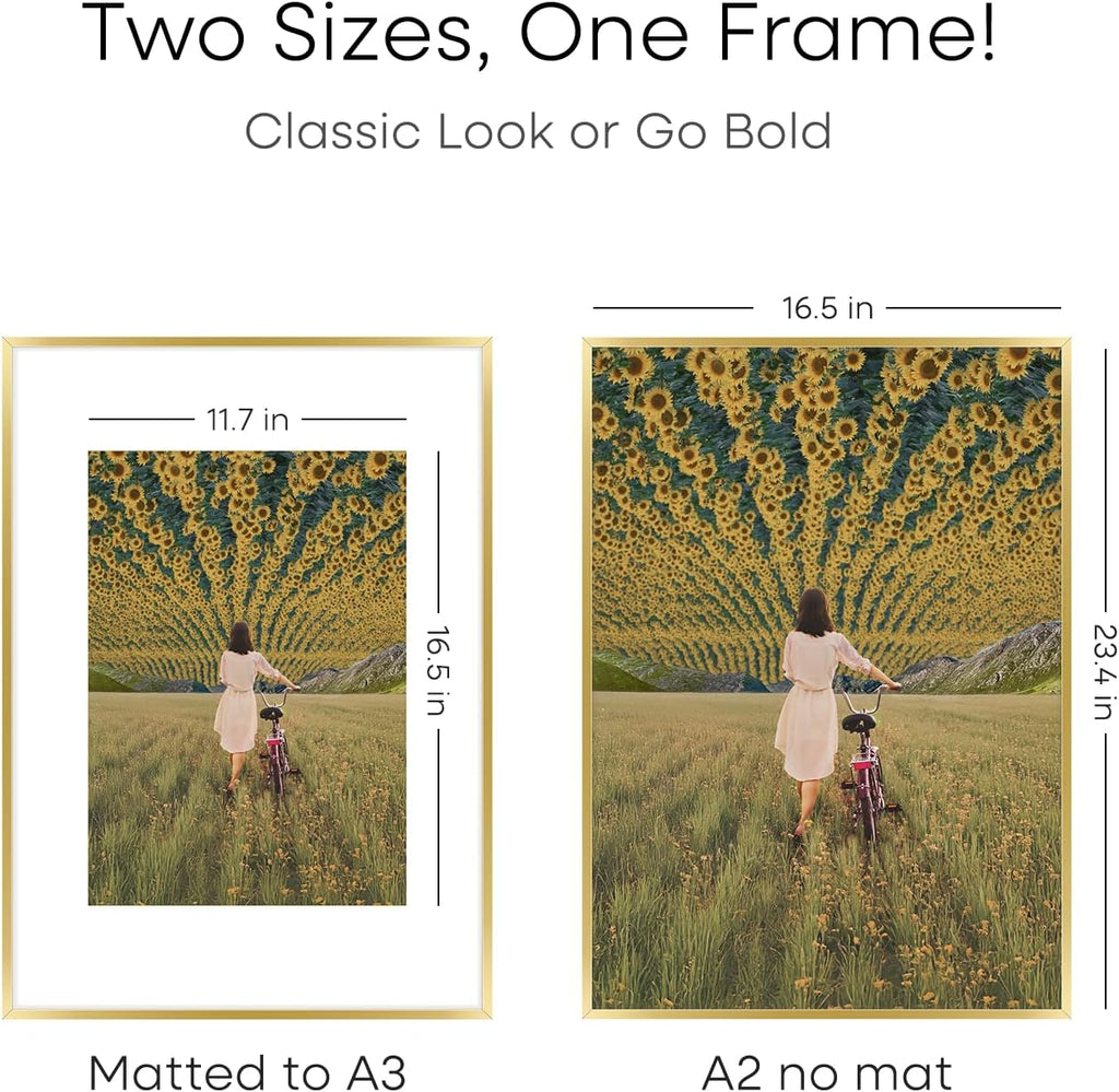 Homeoforia A2 Picture Frame Gold, High End Metal 16.5 x 23.5 inches Poster Frames with Mat 11.7 x 16.5 for Photo, A2 Size Frame Matted to A3 Print, 16.5 by 23.4 Hanging Frame, Tempered Glass, Set of 2