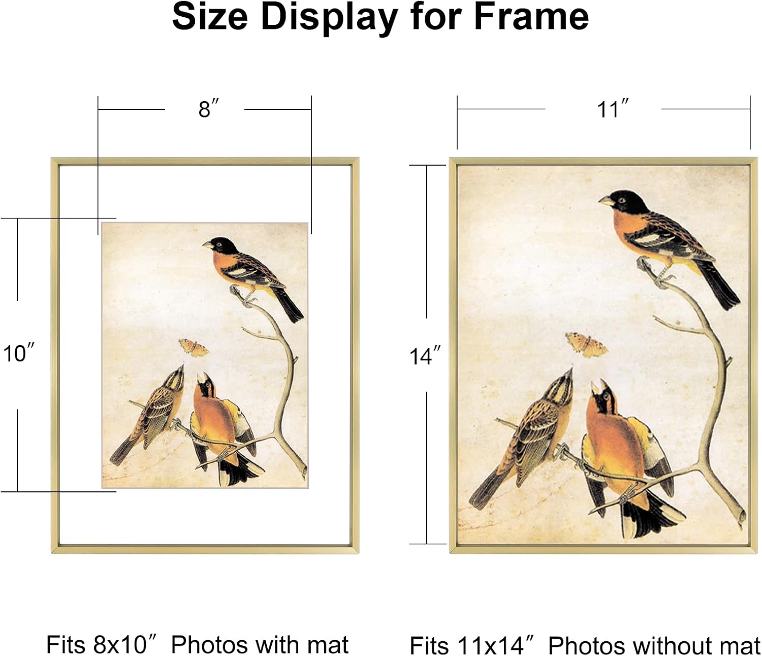 11x14 Picture Frame Set of 3, Brass Metal Photo Frames with HD Glass, Fits 8x10 with Mat or 11 x 14 without Mat, Display for Wall