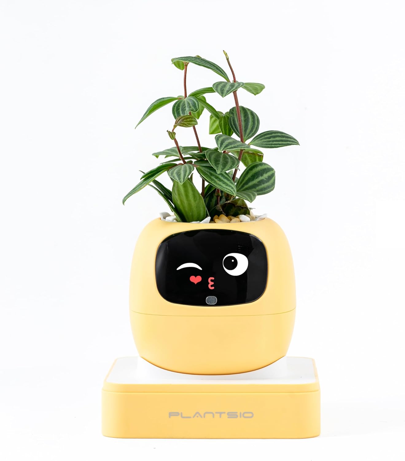Ivy AI Smart Plant Pot with Emoji Intelligent Planter Robot for Houseplants Tamagotchi Flower Pot Stylish Plantagotchi Home Decor(Lemon)
