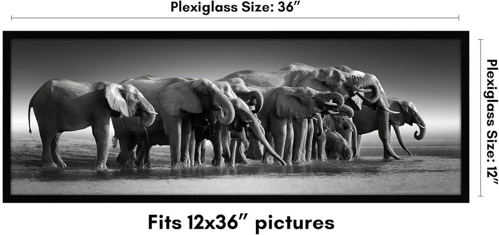 Americanflat 12x36 Picture Frame with Polished Plexiglass - Signature Collection - Gallery-Style Frames Made of Engineered Wood - Photo Frame for Wall Display - Black