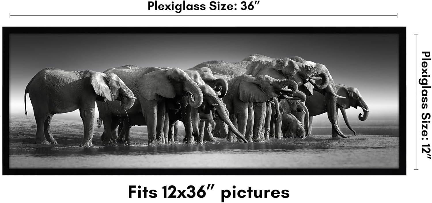 Americanflat 12x36 Picture Frame with Polished Plexiglass - Signature Collection - Gallery-Style Frames Made of Engineered Wood - Photo Frame for Wall Display - Black
