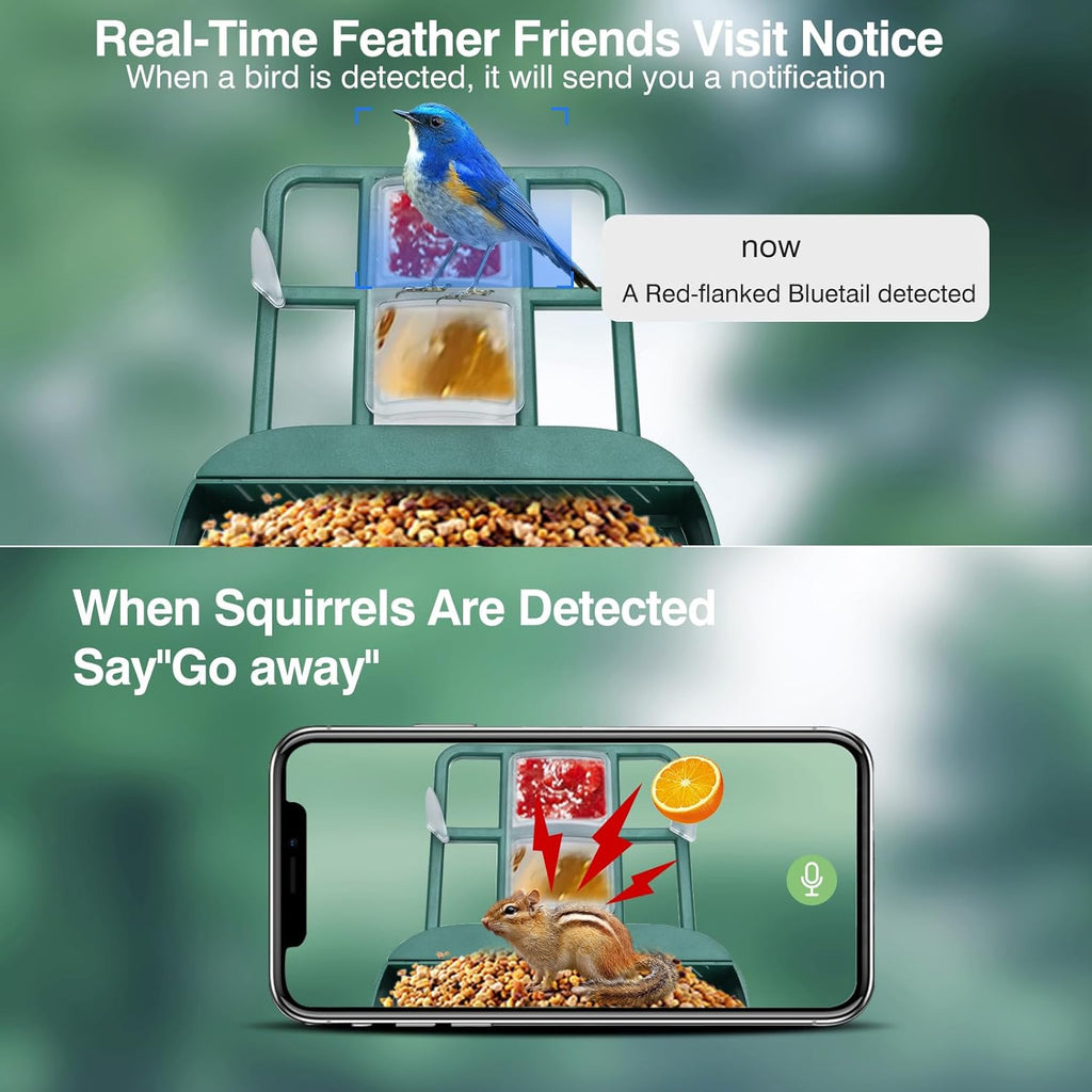 Bird Feeder with Camera,Smart Watching Birds,AI Identify Species 2K Live Video,2.4GHZ WiFi Solar Birds House Cameras for Outdoors,Motion Detection Instant Arrival Alerts,Ideal Present for Birds Lovers
