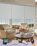 Graywind Smart Coupled Roller Shades Compatible with Alexa Google Custom Size Extra Large Motorized Blinds for Windows(White)
