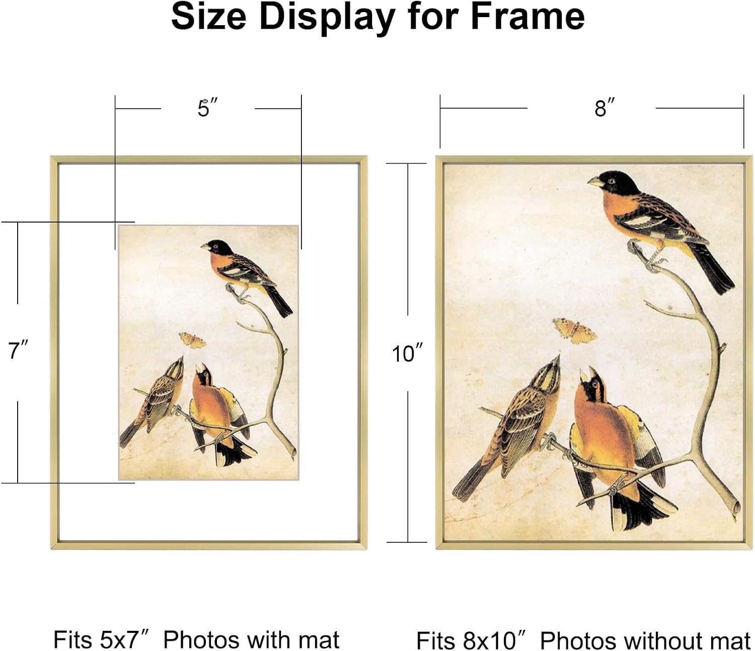 8x10 Picture Frame, Brass Aluminum Metal Photo Frames with HD Glass, Fits 5x7 with Mat or 8 x 10 without Mat, Display for Wall and Table