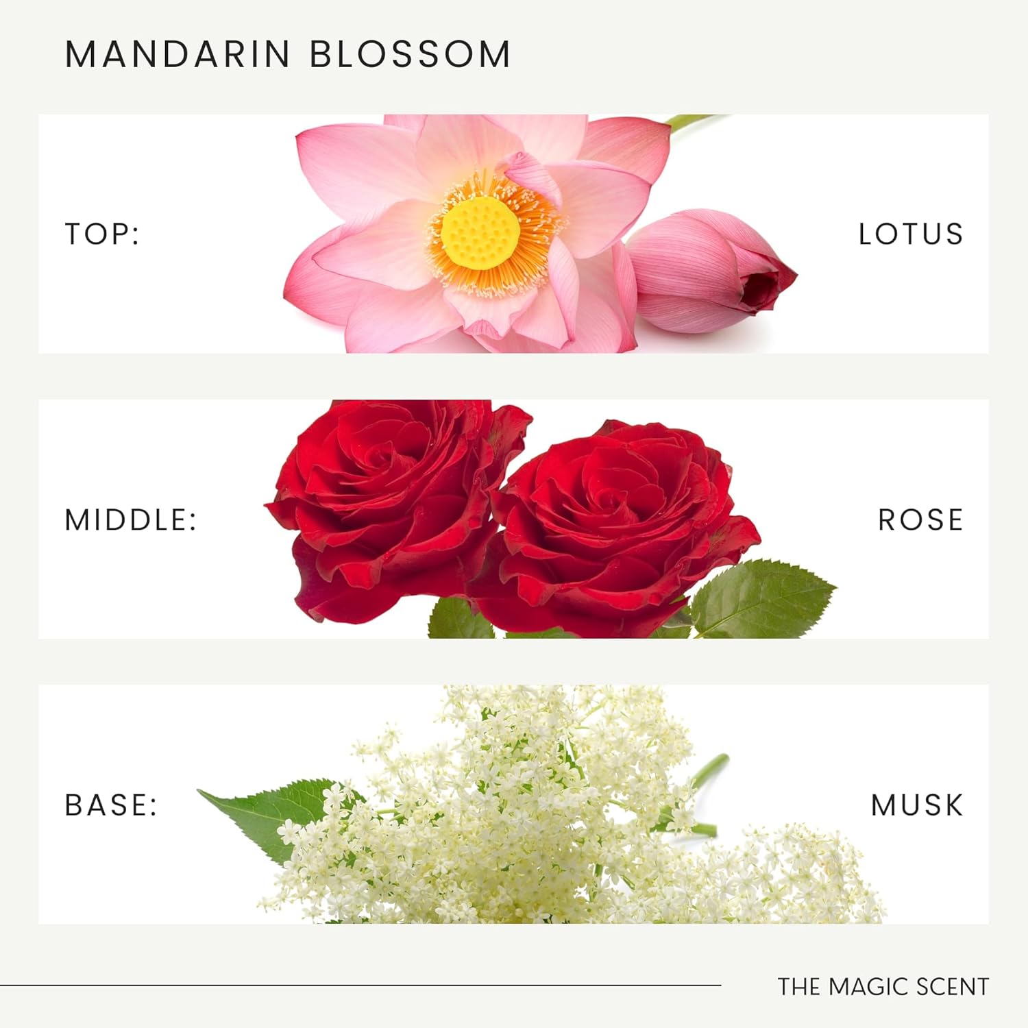 The Magic Scent Mandarin Blossom Diffuser Oil - Hotel & Home Luxury Scents Inspired by The Maldives - Diffuser Oil Scents for Home Designed for Use in All Diffusers - 4 fl oz, 120 mL