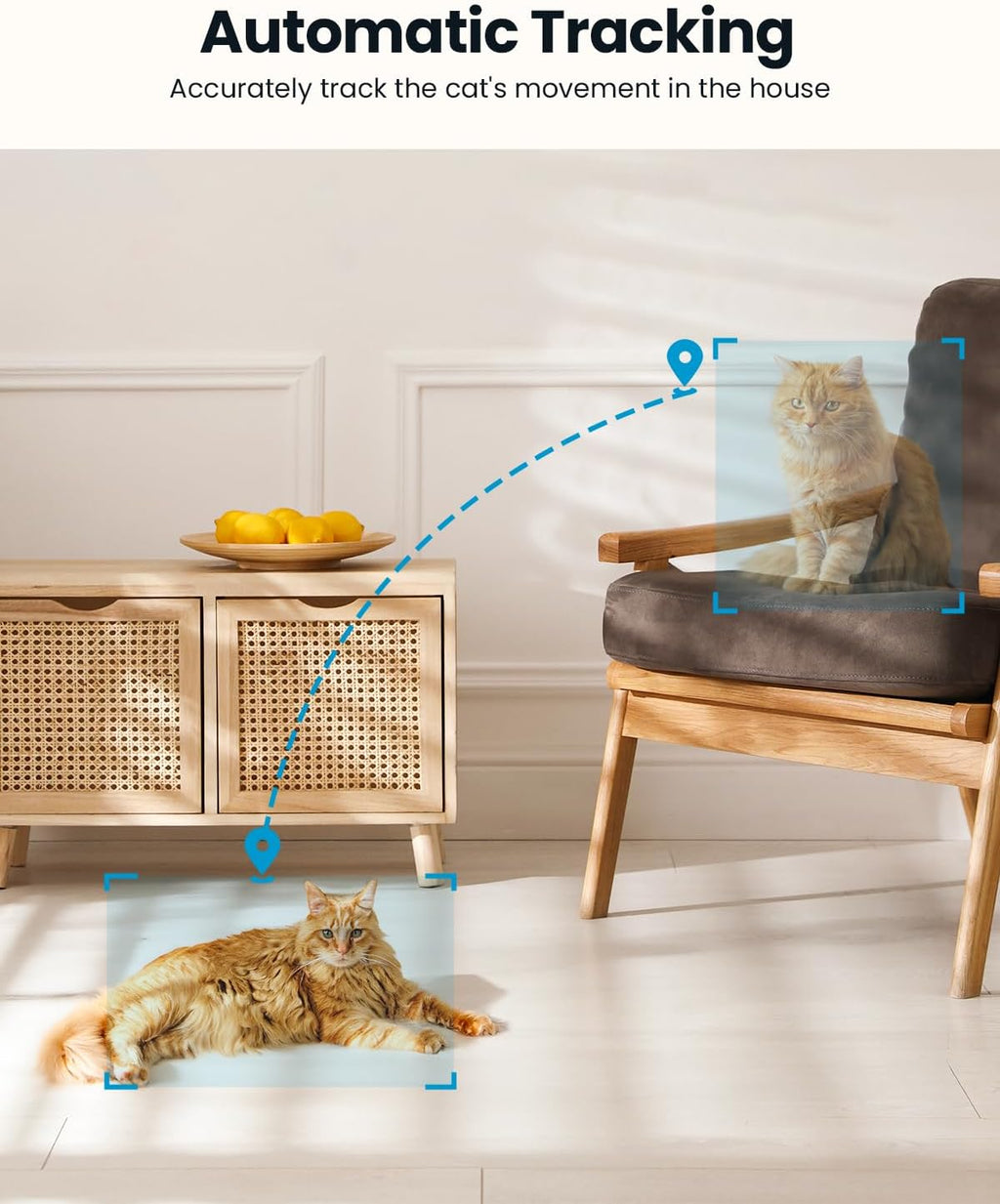 ieGeek 2K Indoor Security Camera, 5G/2.4G WiFi Pet Cameras for Home Security, 360° Dog Cam w/Auto Tracking, Smart Motion Detection, Phone App, Baby Monitor, 3MP Night Vision, Works with Alexa(2 Pack)