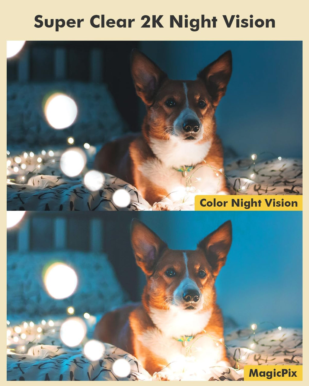 Dzees 5G/2.4G WiFi Indoor Security Camera Pet Camera No Subscription, 2K 360° WiFi Cameras, Wired Dog Pet Camera with Phone App, MagicPix Night Vision, Calls, 2-Way Audio, 24/7, Motion Tracking