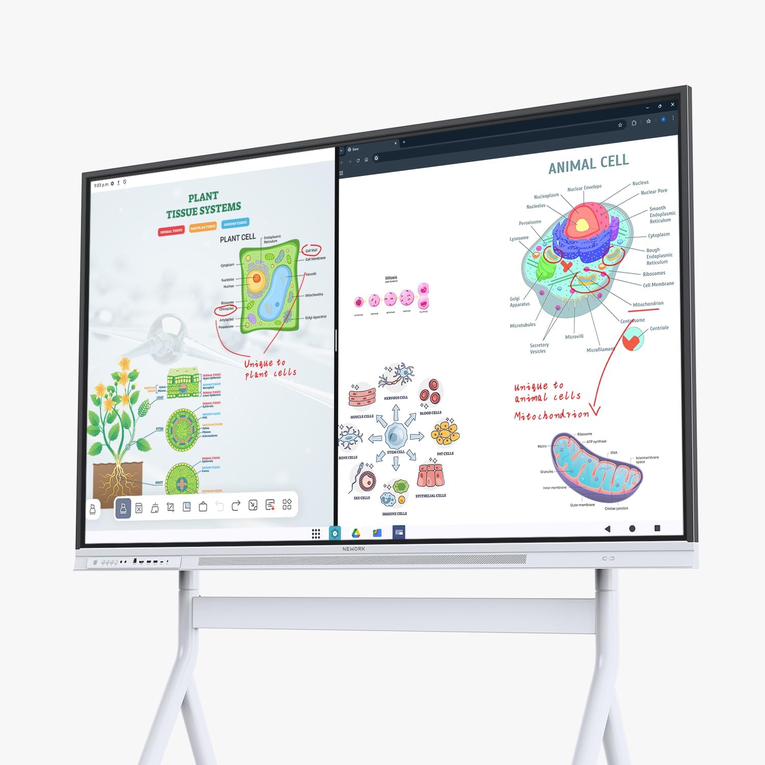 Smart Board, 75" Interactive Whiteboard with Google EDLA, Built-in Digital Whiteboard, Wireless Casting, Split-Screen & Unlimited Canvas for Business and Education (Wall Mount Included)