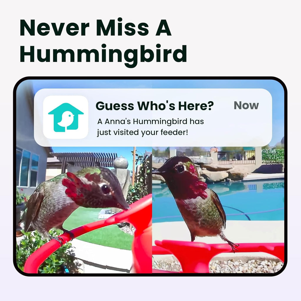 Birdfy Hummingbird Feeder with Dual Cameras - 2K HD Smart Cameras Solar Powered, Close-Up Bird Video/Live Watching & Instant Notifications, Ant Moat & Leakproof - 20oz