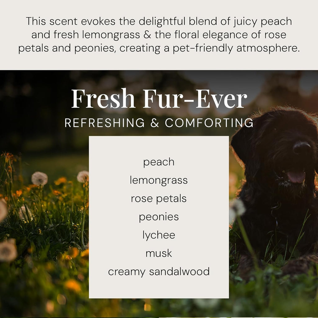 Air Esscentials Diamond Smart Scent Air Machine & Fresh Fur-Ever Aroma Oil, Waterless Fragrance Oil Diffuser with Bluetooth App Control, Fresh Cut Pine & Fir, Refreshing Winter Forest Scent, 100mL