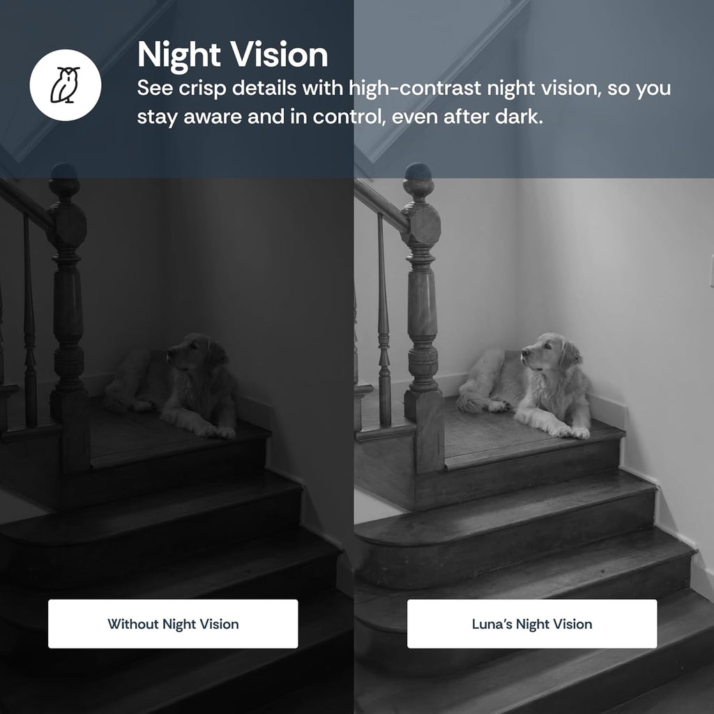 Luna Indoor Camera 360-Degree Pan/Tilt, Pet/Person/Vehicle AI Motion Detection, Plug-in, Night Vision, Two Way Audio, Cloud Storage, Wi-Fi Camera for Room Office Smart Home Security (White)