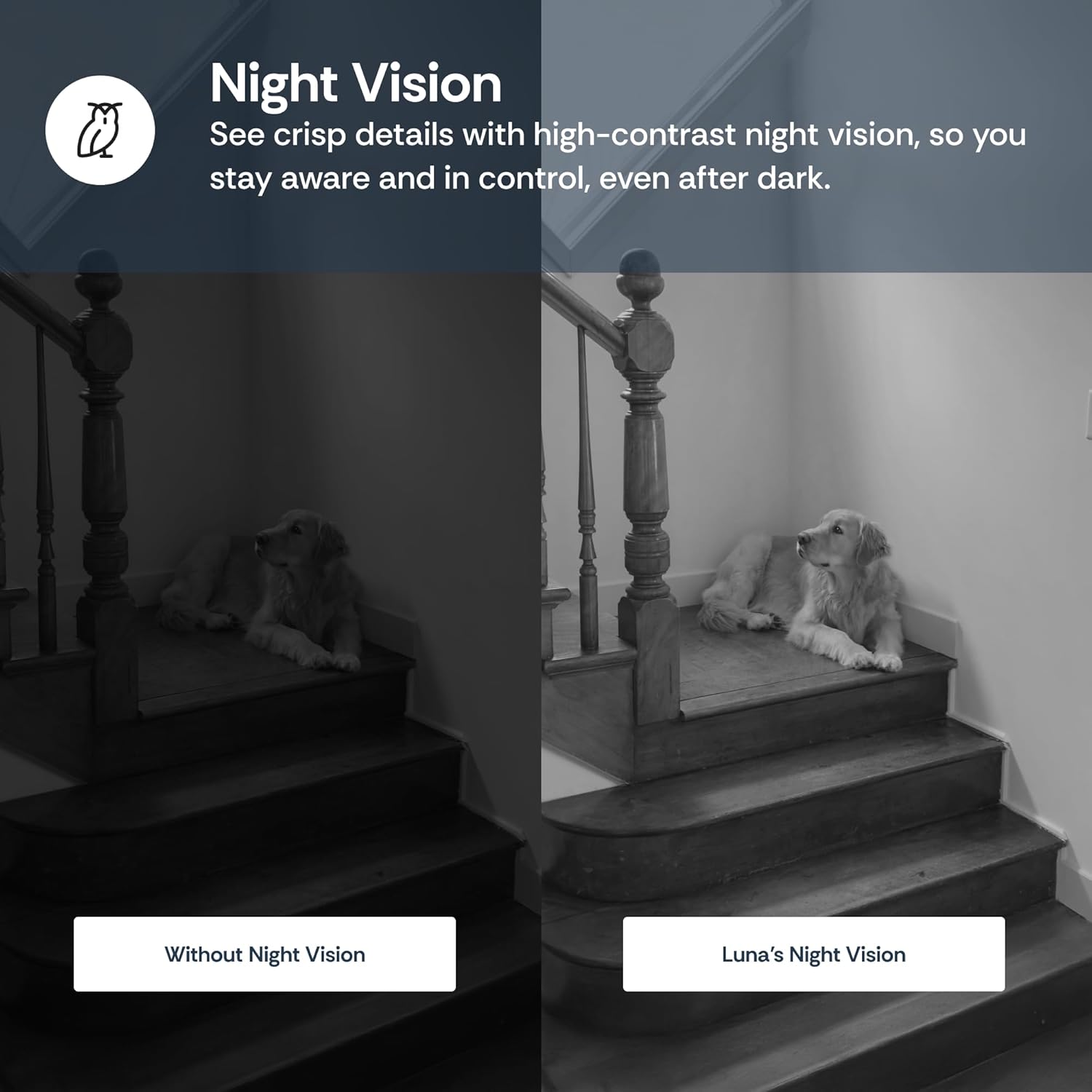 Luna Indoor Camera 360-Degree Pan/Tilt, Pet/Person/Vehicle AI Motion Detection, Plug-in, Night Vision, Two Way Audio, Cloud Storage, Wi-Fi Camera for Room Office Smart Home Security (White)