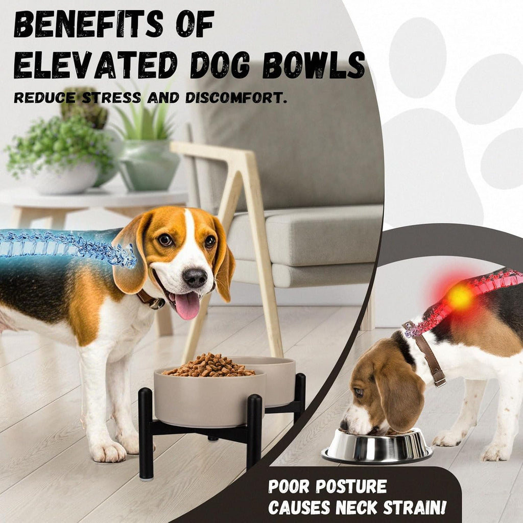 Raised Ceramic Dog Bowl Set - Elevated Double Dishes with Stainless Steel Stand - Food and Water Bowls for Small to Medium Dogs - Each Holds 2 Cups (28.75 fl oz) - Grey