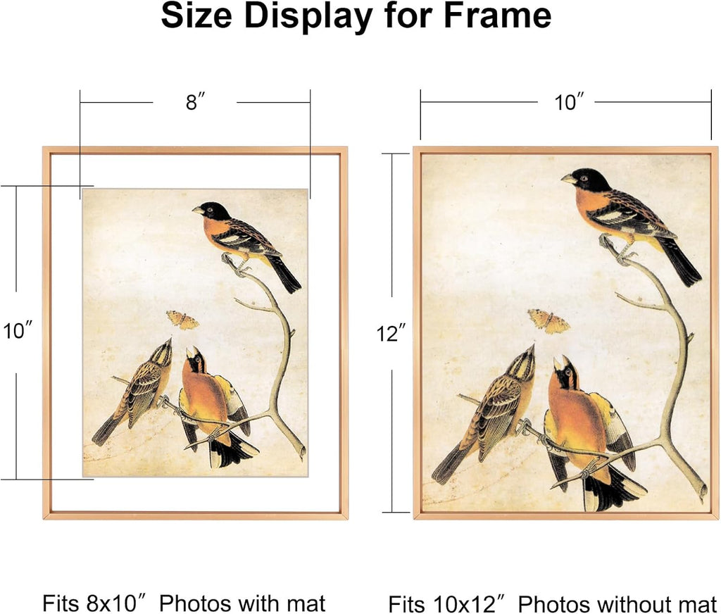 10x12 Picture Frame, Gold Aluminum Metal Photo Frames with HD Glass, Fits 8x10 with Mat or 10 x 12 without Mat, Display for Wall, 1 Pack