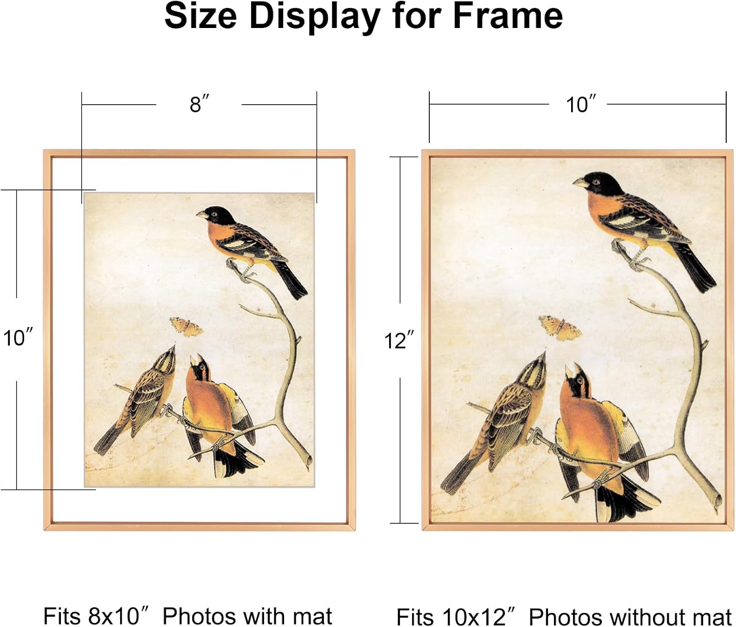 10x12 Picture Frame, Gold Aluminum Metal Photo Frames with HD Glass, Fits 8x10 with Mat or 10 x 12 without Mat, Display for Wall, 1 Pack