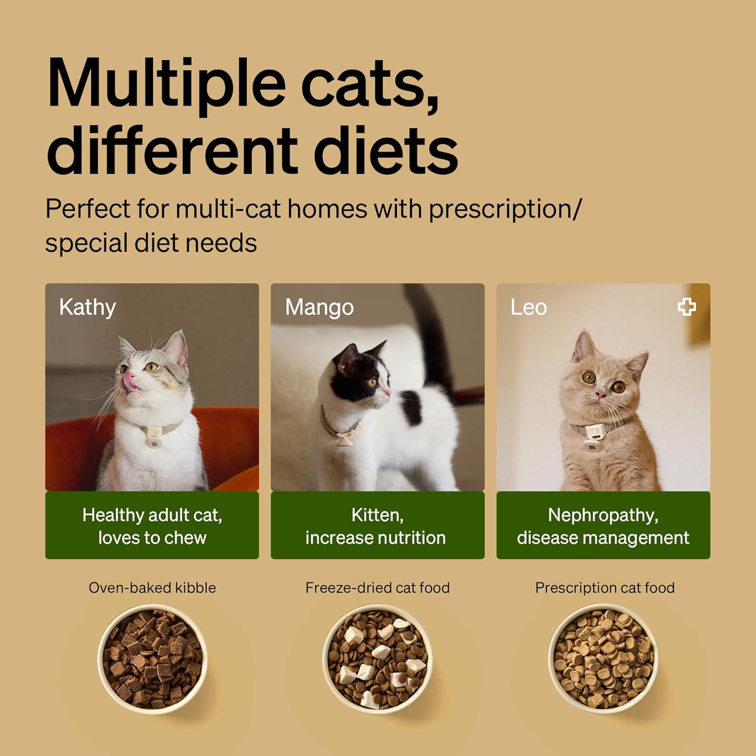 PETLIBRO RFID Automatic Cat Feeder, Collar Tag Activated Personal Meals, 5G Wi-Fi Multiple Cats Feeder for 3 Cats, App Control Cat Food Dispenser for Pets with Different Diets