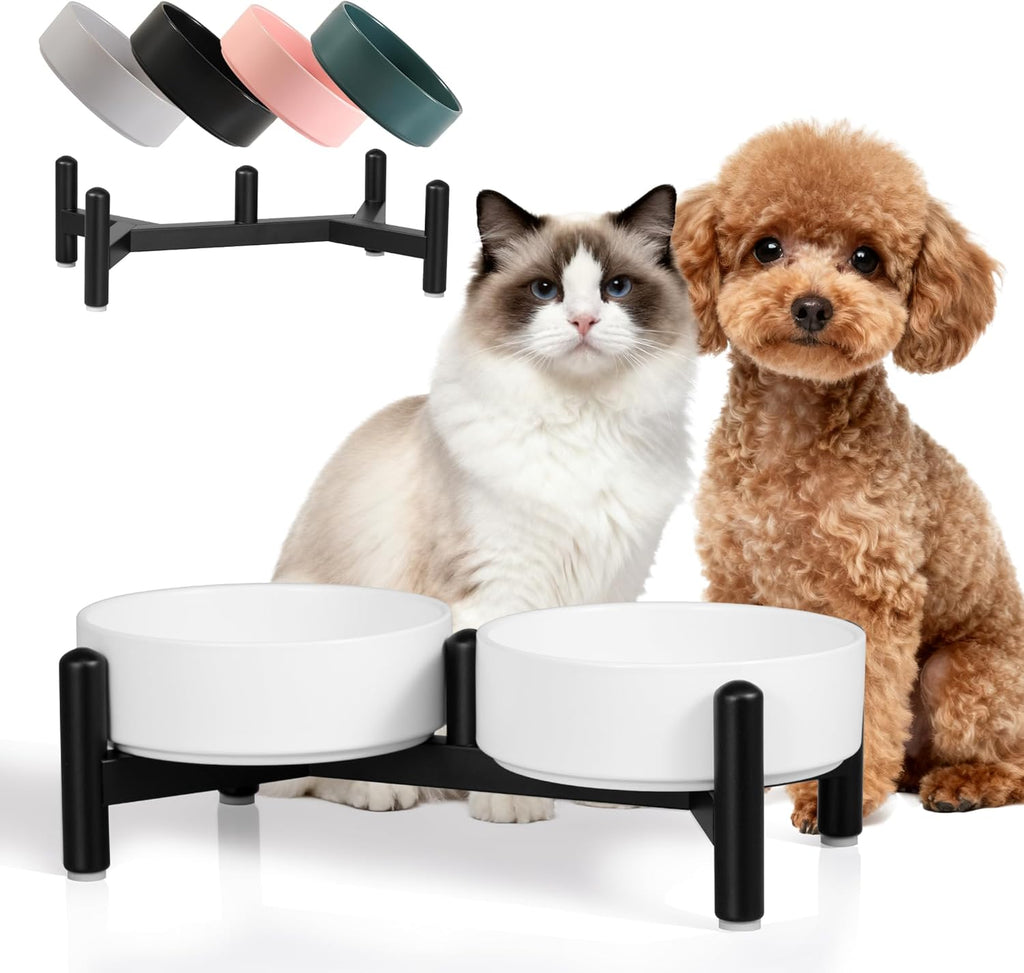 Raised Ceramic Dog Bowl Set - Elevated Double Dishes with Stainless Steel Stand - Food and Water Bowls for Small Dogs and Indoor Cats - Each Holds 2.1 Cups (14 fl oz) - White