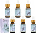 Lemon Eucalyptus Essential Oil (Corymbia Citriodora) – 100% Pure & Undiluted Citrus Aroma for Diffusers, Massage (Dilute) & DIY | Essential Oils for Humidifiers (Pack of 6 × 1.0 fl oz Each)