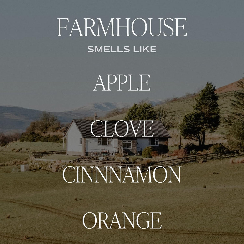 Sweet Water Decor Farmhouse Reed Diffuser Set - Apple, Orange, Pumpkin, Fall Scented Air Freshener - Scent Diffusers for Home, Long Lasting Fragrance, Made in The USA