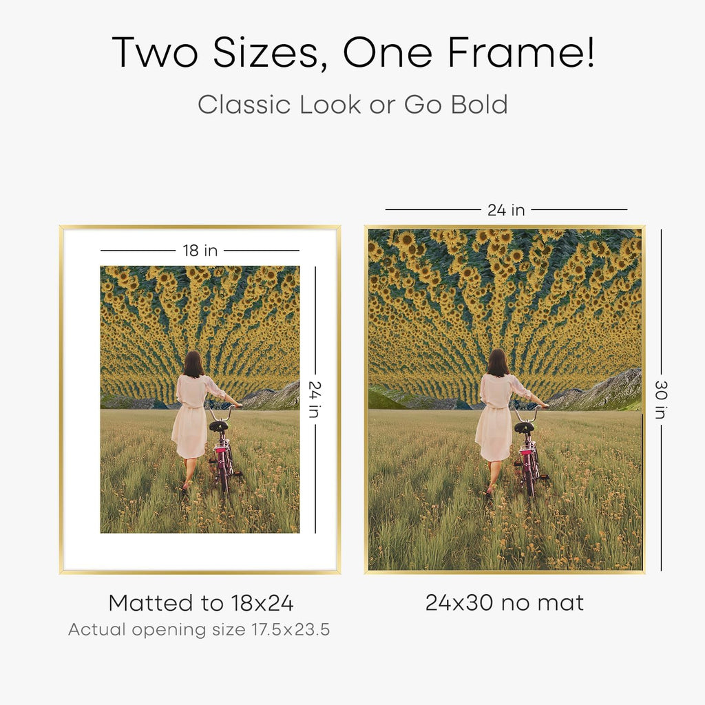 Homeforia 24x30 Picture Frame Gold, High End Metal 24 x 30 Poster Frames with 18 by 24 Mat Opening, 24x30 Gold Photo Frame Matted to 18x24 Print, 30x24 Large Frames, Tempered Glass, Wall Kit, Set of 2