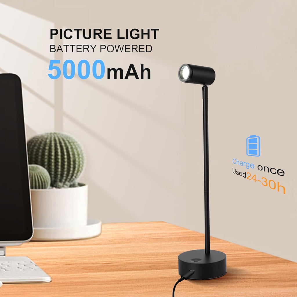 ZitoStory Lights for Pictures On Wall, Battery Operated Picture Light Rechargeable,Black Led Art Lighting for Paintings Wireless with Remote Magnetic Stick Dimmable and Timer（1 Pack）