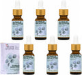 Eucalyptus Globulus Essential Oil by One Arome – Pure, Undiluted & Steam-Distilled Herbal Aroma for Diffusers for Home, Massage (Dilute), Cleaning & Linen Refresh(Pack of 6 × 1.0 fl oz Each)