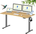 FLEXISPOT EN1 Bamboo Standing Desk, 60 x 30 Inches Whole-Piece Electric Adjustable Height Sit Stand Desk - Silver Frame + Bamboo Curved Desktop (2 Packages)
