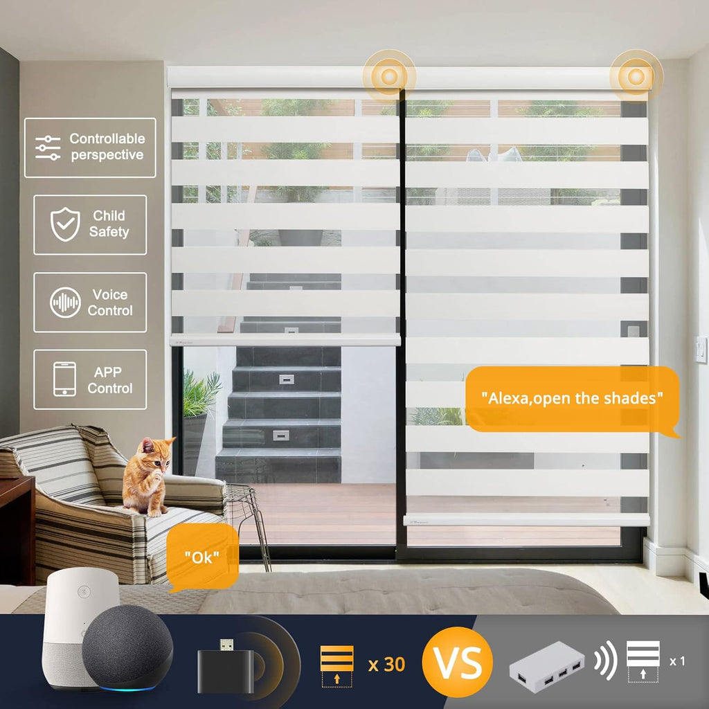 Motorized Blinds with Remote, Cordless Automatic Zebra Shades, Smart Blind for Windows, White, 23 x 72